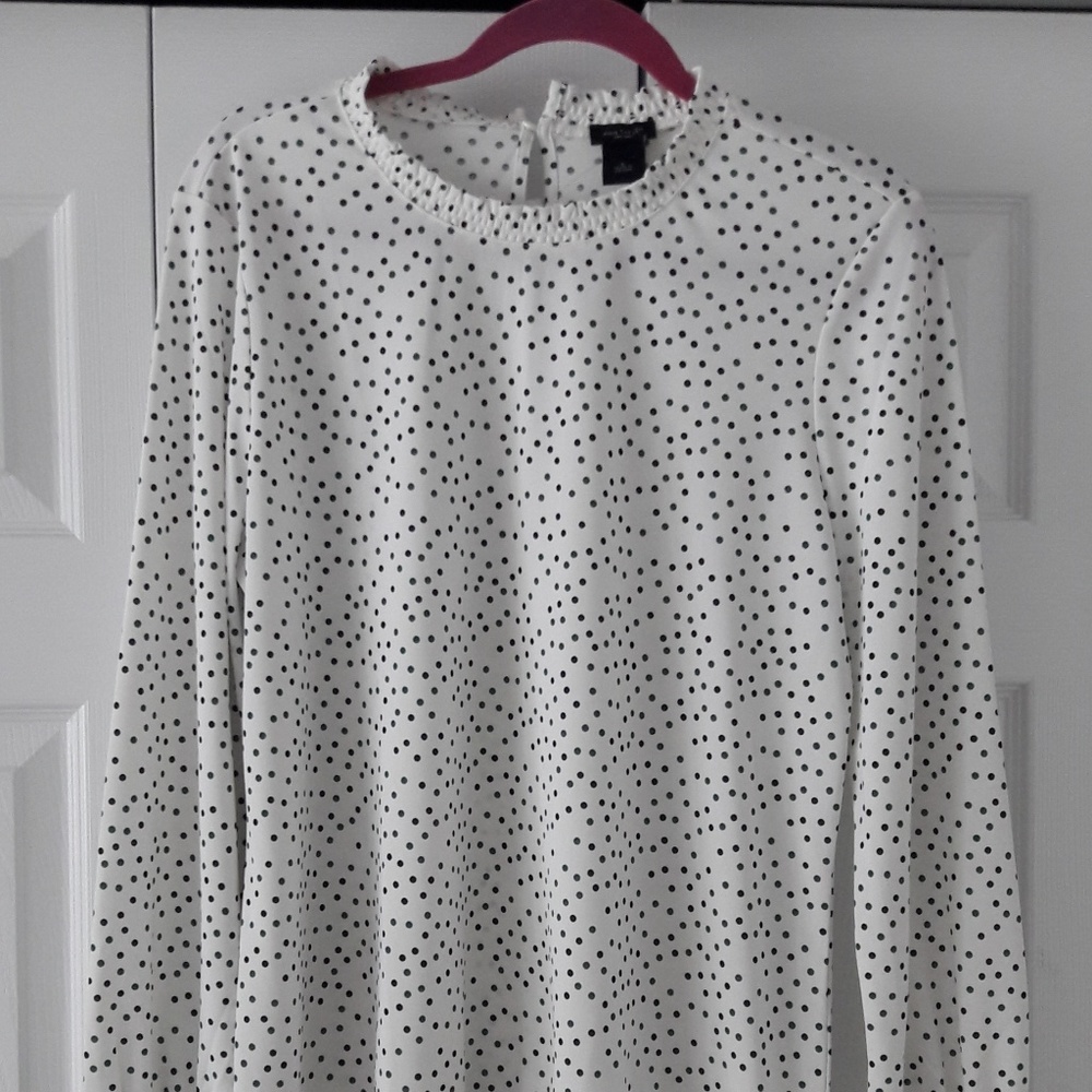 Ann Taylor Polka-dot Blouse